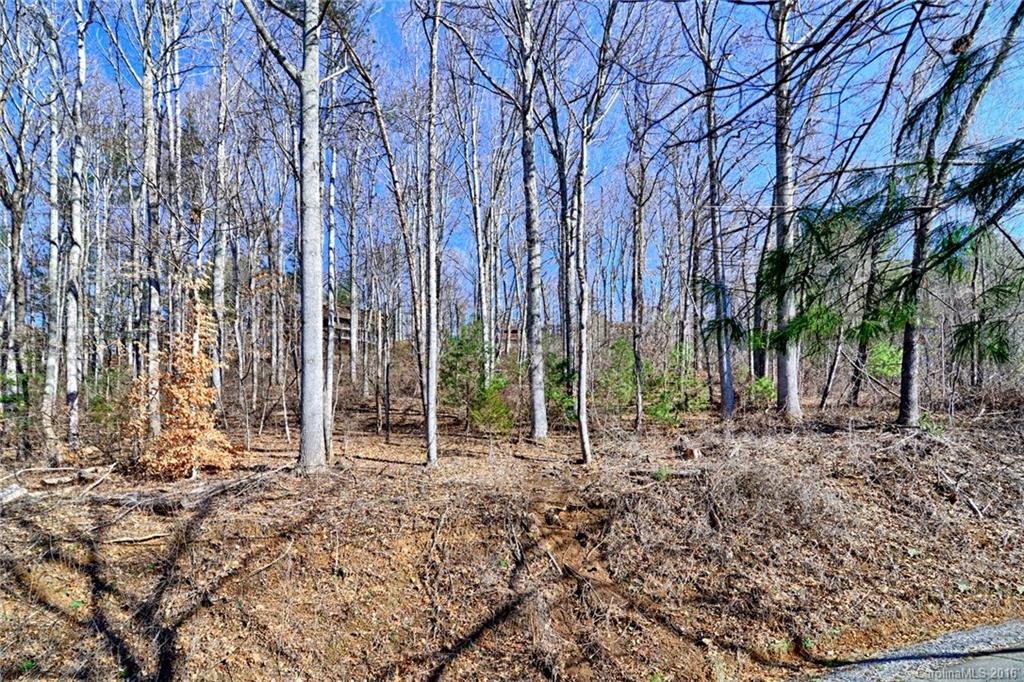 110 Buffalo Trail Asheville NC 28805