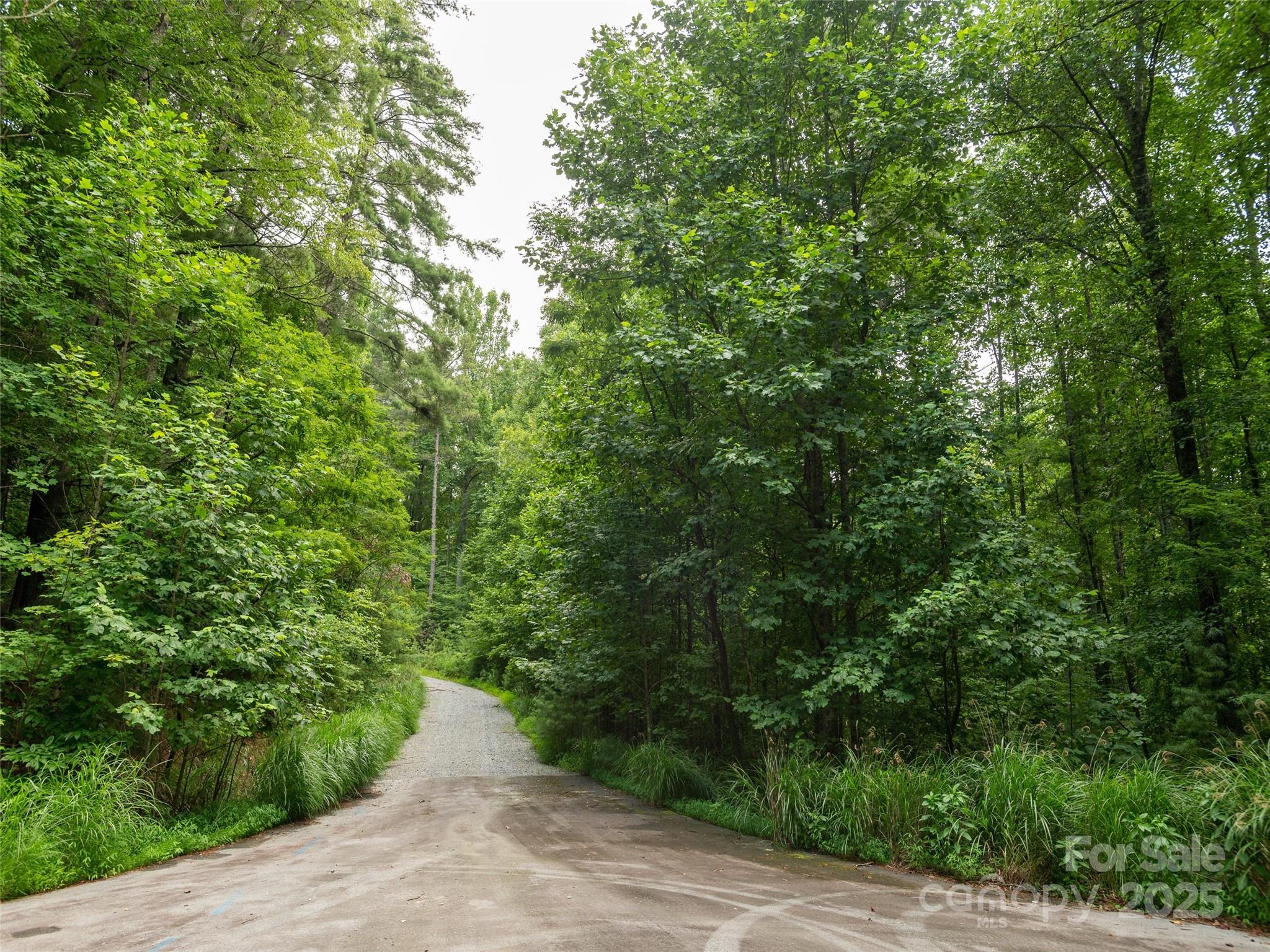 0 Willow Falls Lane Hendersonville NC 28792