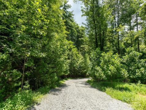 0 Willow Falls Lane Hendersonville NC 28792