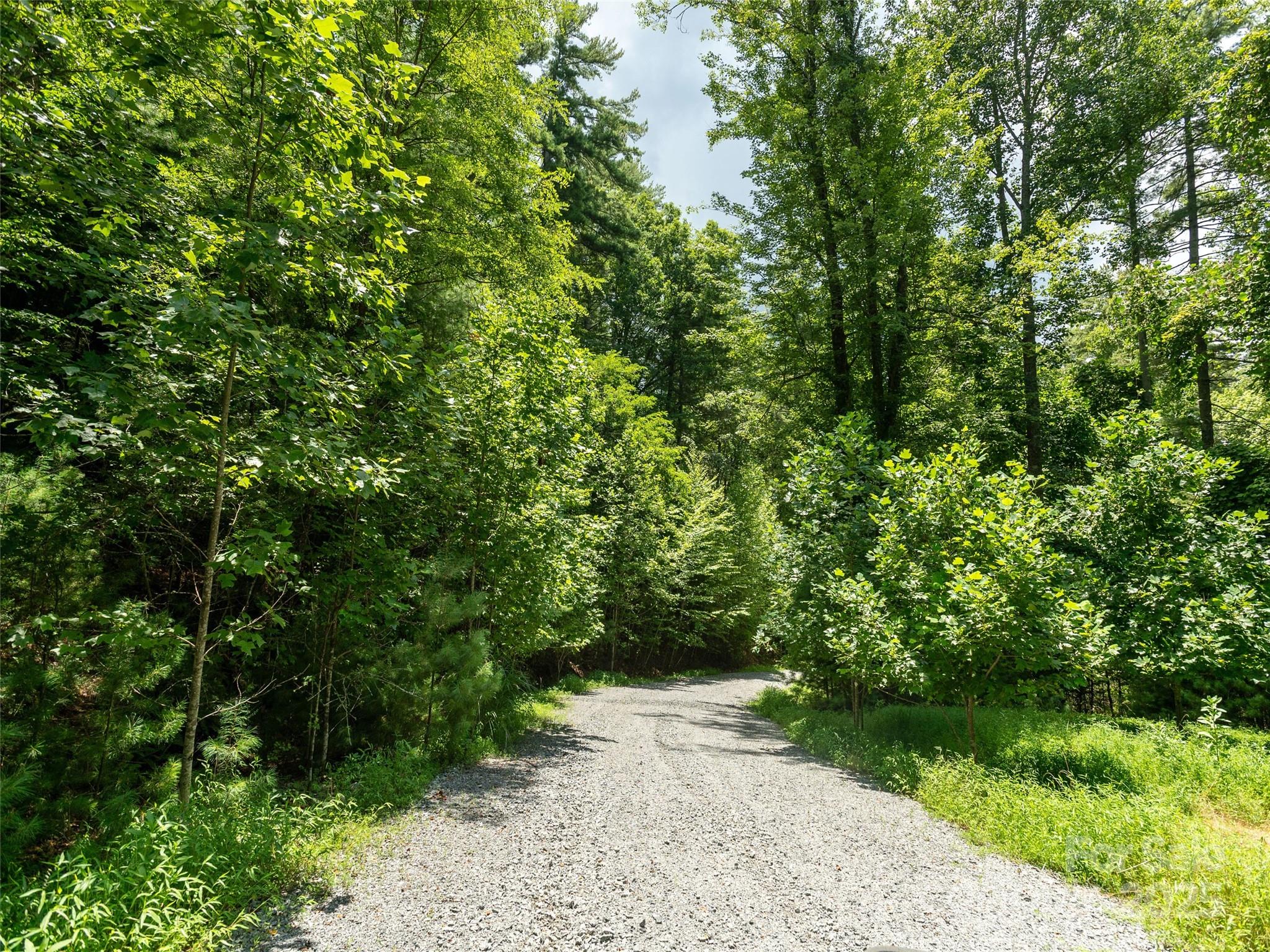 0 Willow Falls Lane Hendersonville NC 28792
