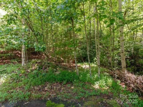 0 Willow Falls Lane Hendersonville NC 28792