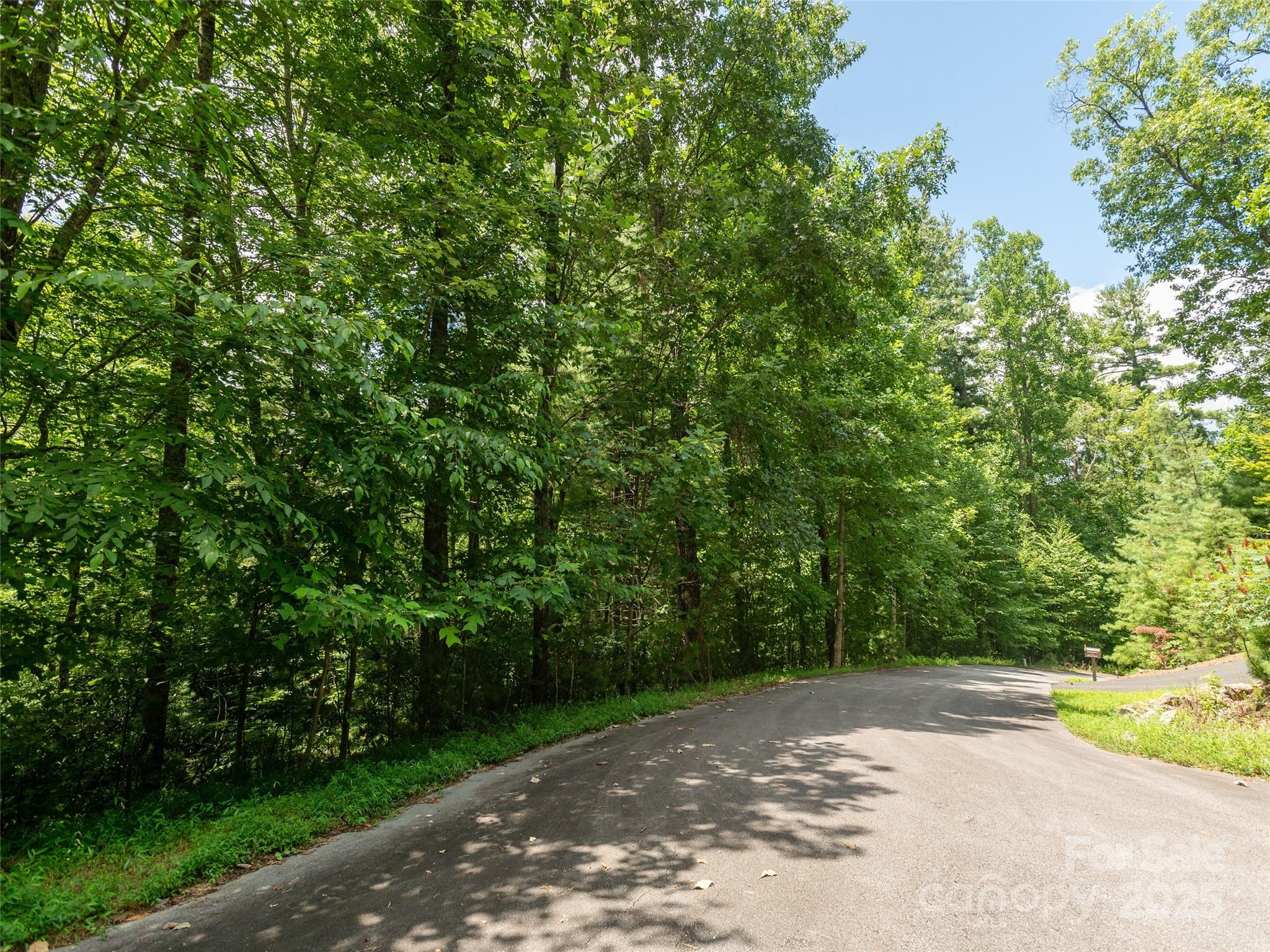 0 Willow Falls Lane Hendersonville NC 28792