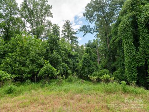 0 Willow Falls Lane Hendersonville NC 28792