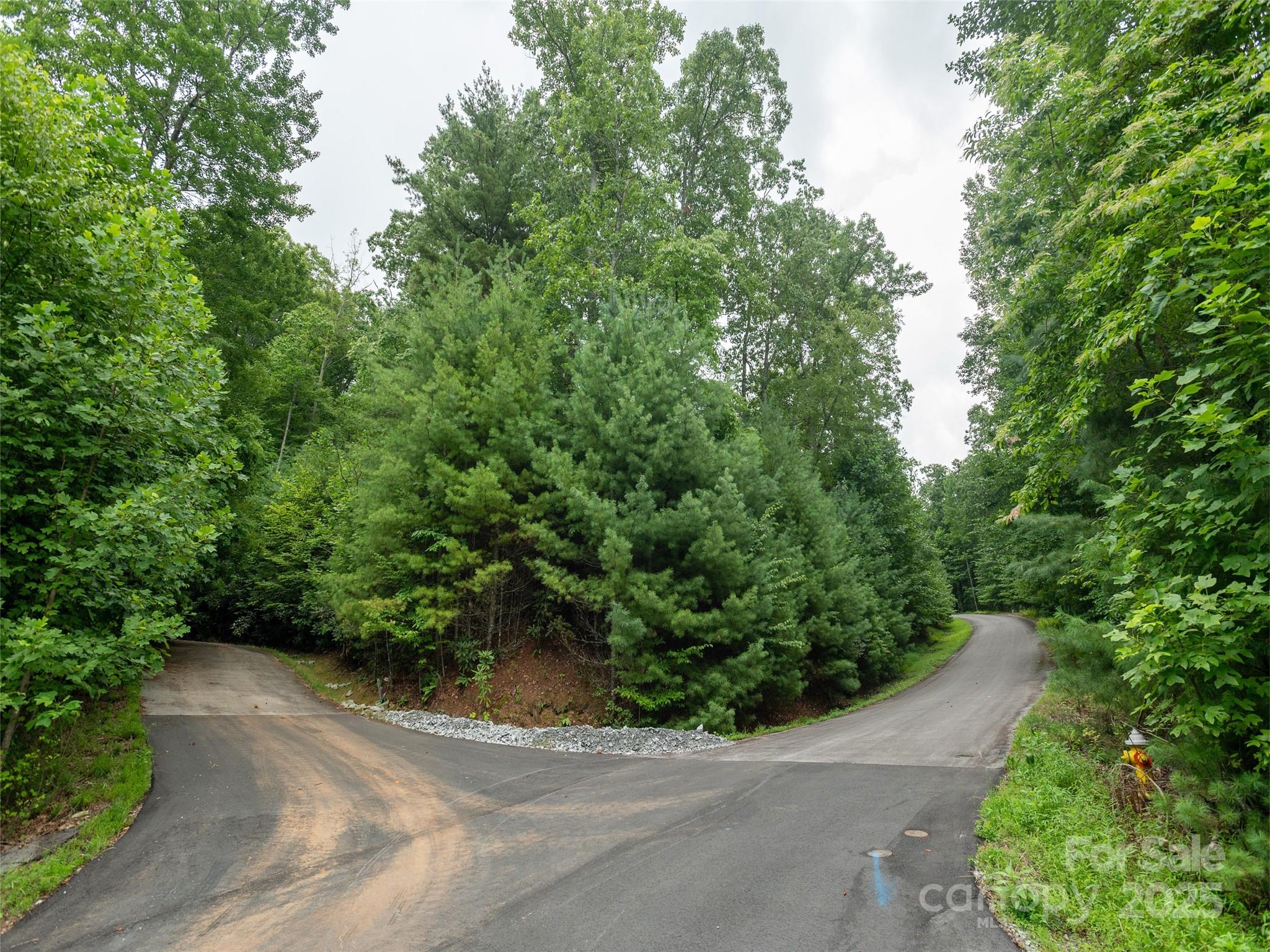 0 Willow Falls Lane Hendersonville NC 28792