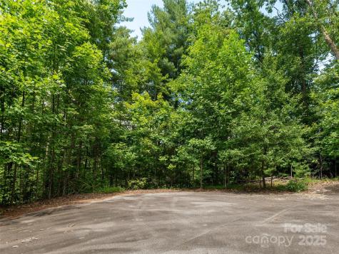 0 Willow Falls Lane Hendersonville NC 28792