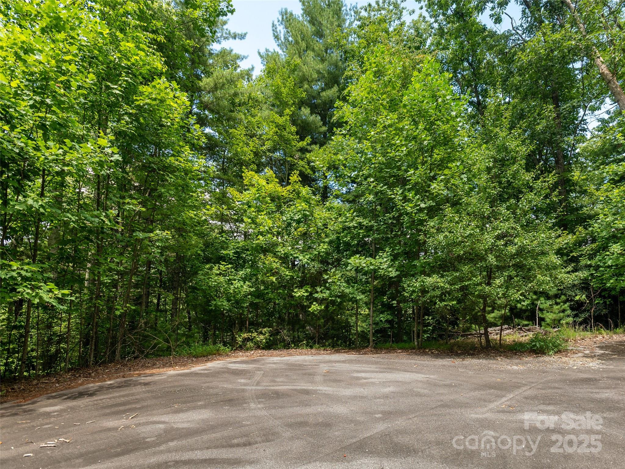 0 Willow Falls Lane Hendersonville NC 28792