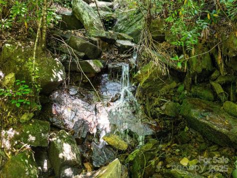 0 Willow Falls Lane Hendersonville NC 28792