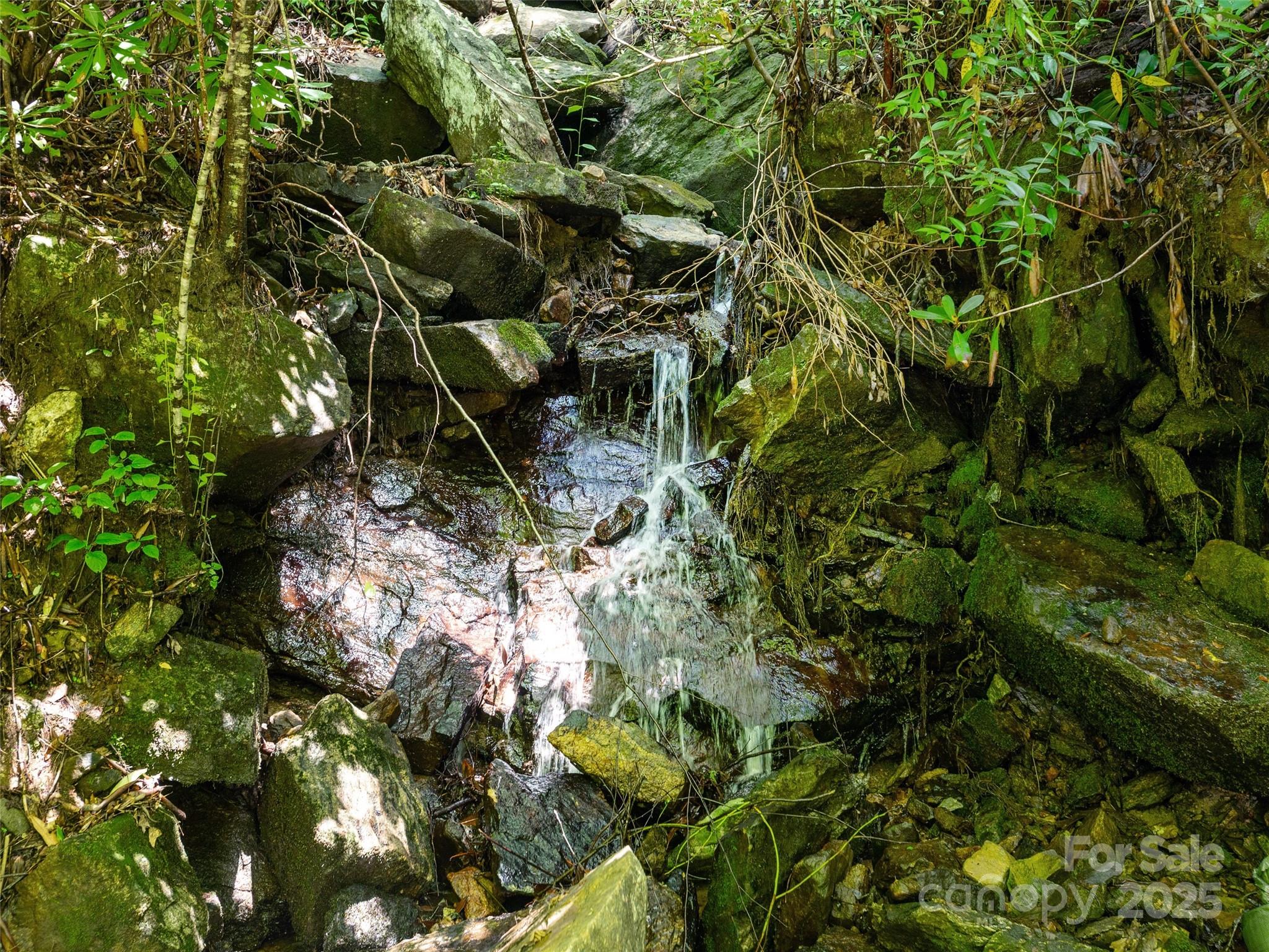0 Willow Falls Lane Hendersonville NC 28792