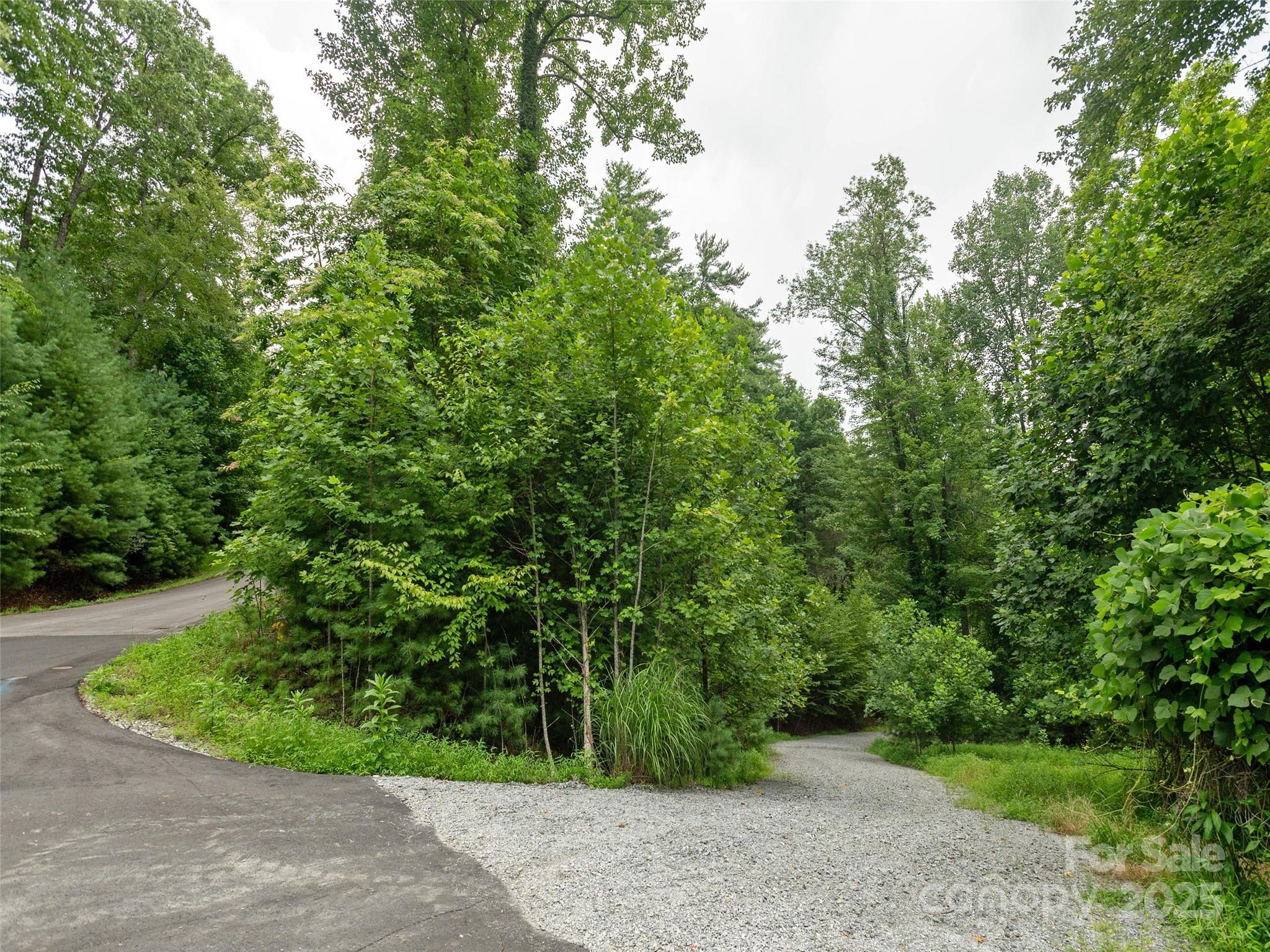 0 Willow Falls Lane Hendersonville NC 28792