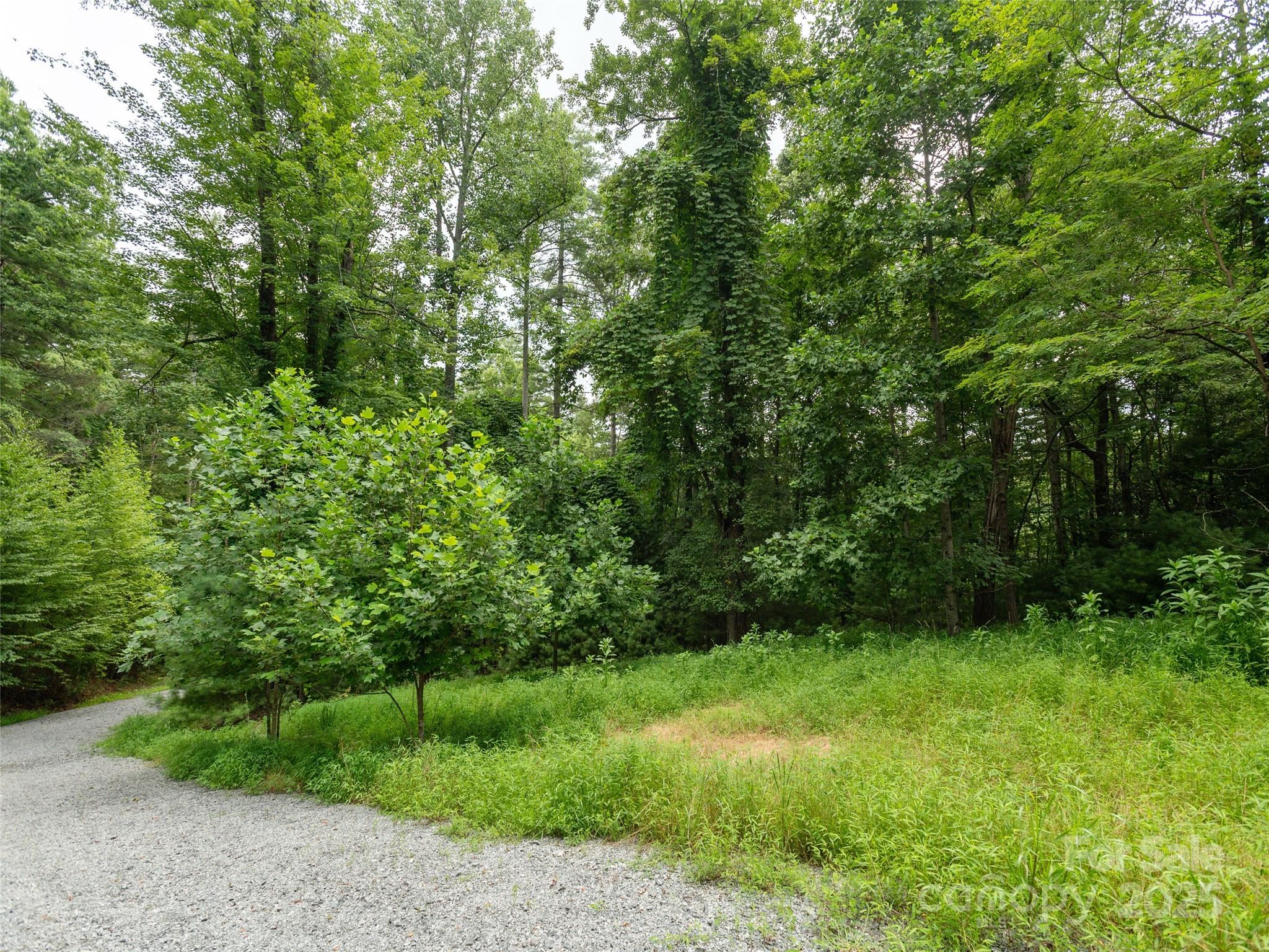 0 Willow Falls Lane Hendersonville NC 28792