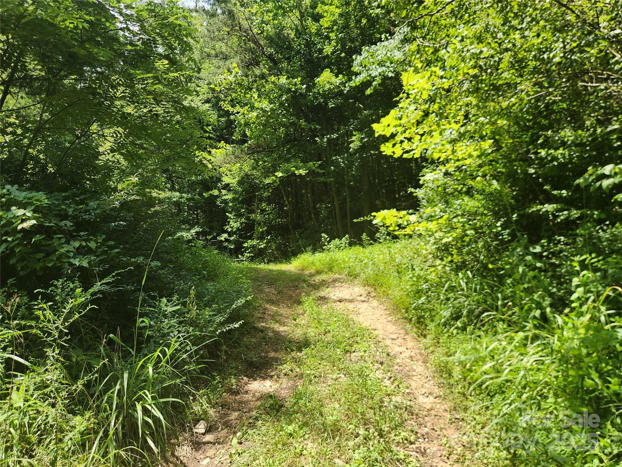 2003 Zacks Fork Road Lenoir NC 28645