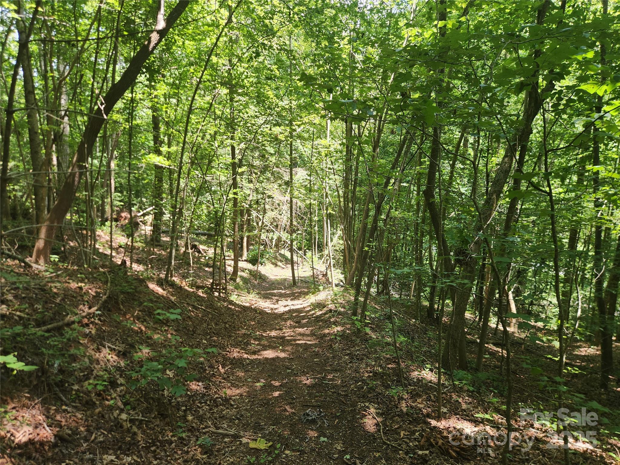 2003 Zacks Fork Road Lenoir NC 28645