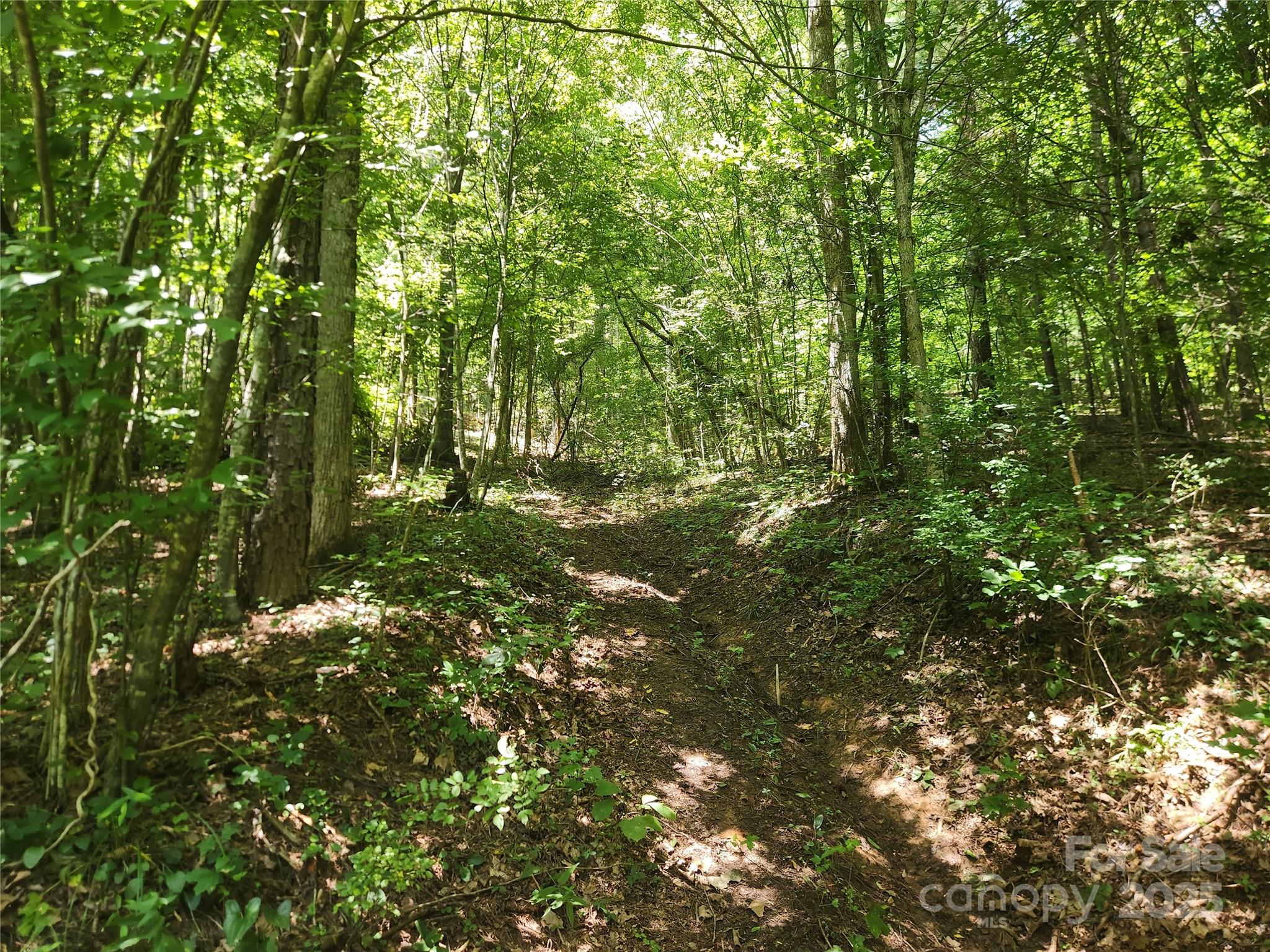 2003 Zacks Fork Road Lenoir NC 28645