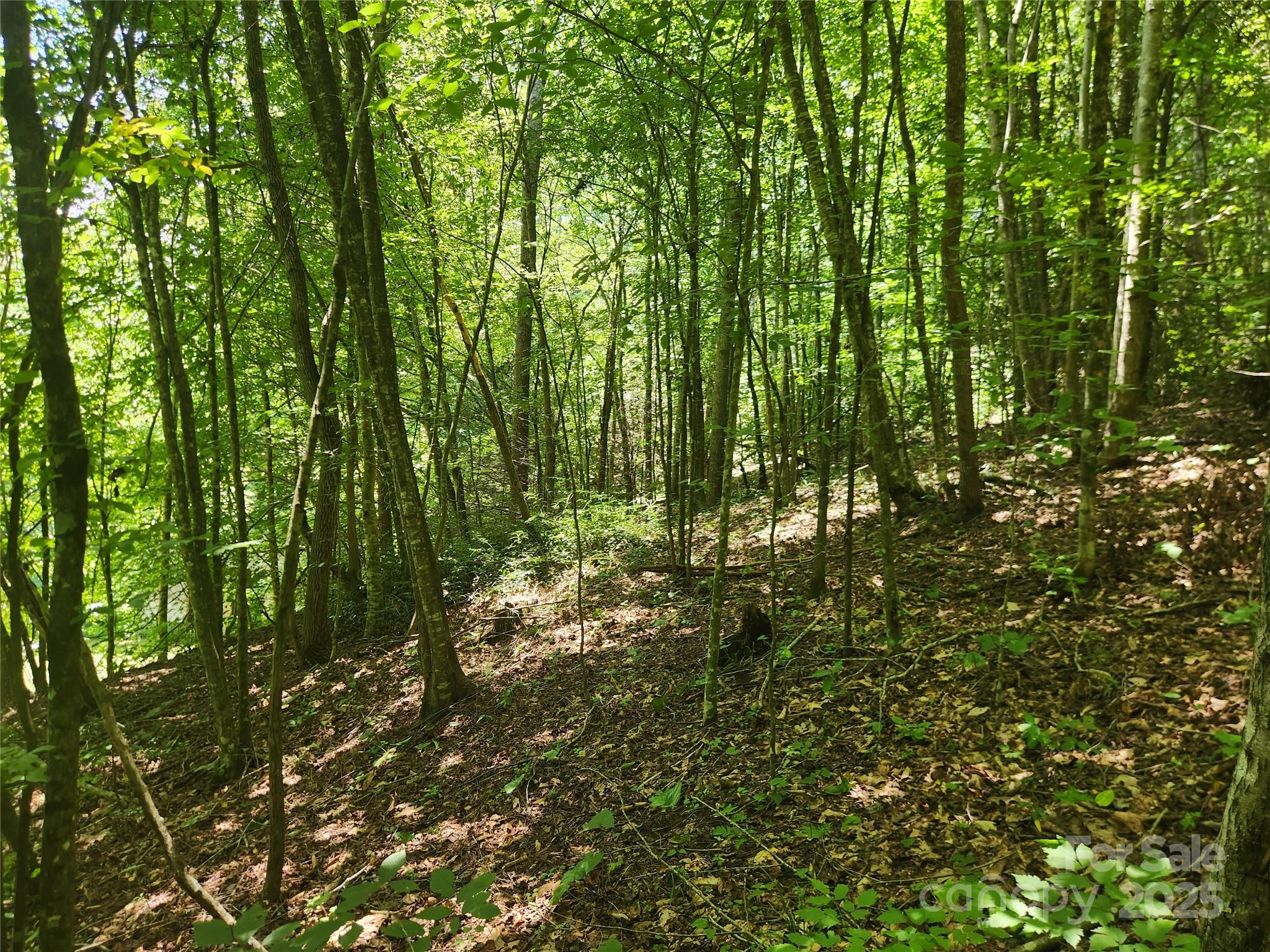 2003 Zacks Fork Road Lenoir NC 28645