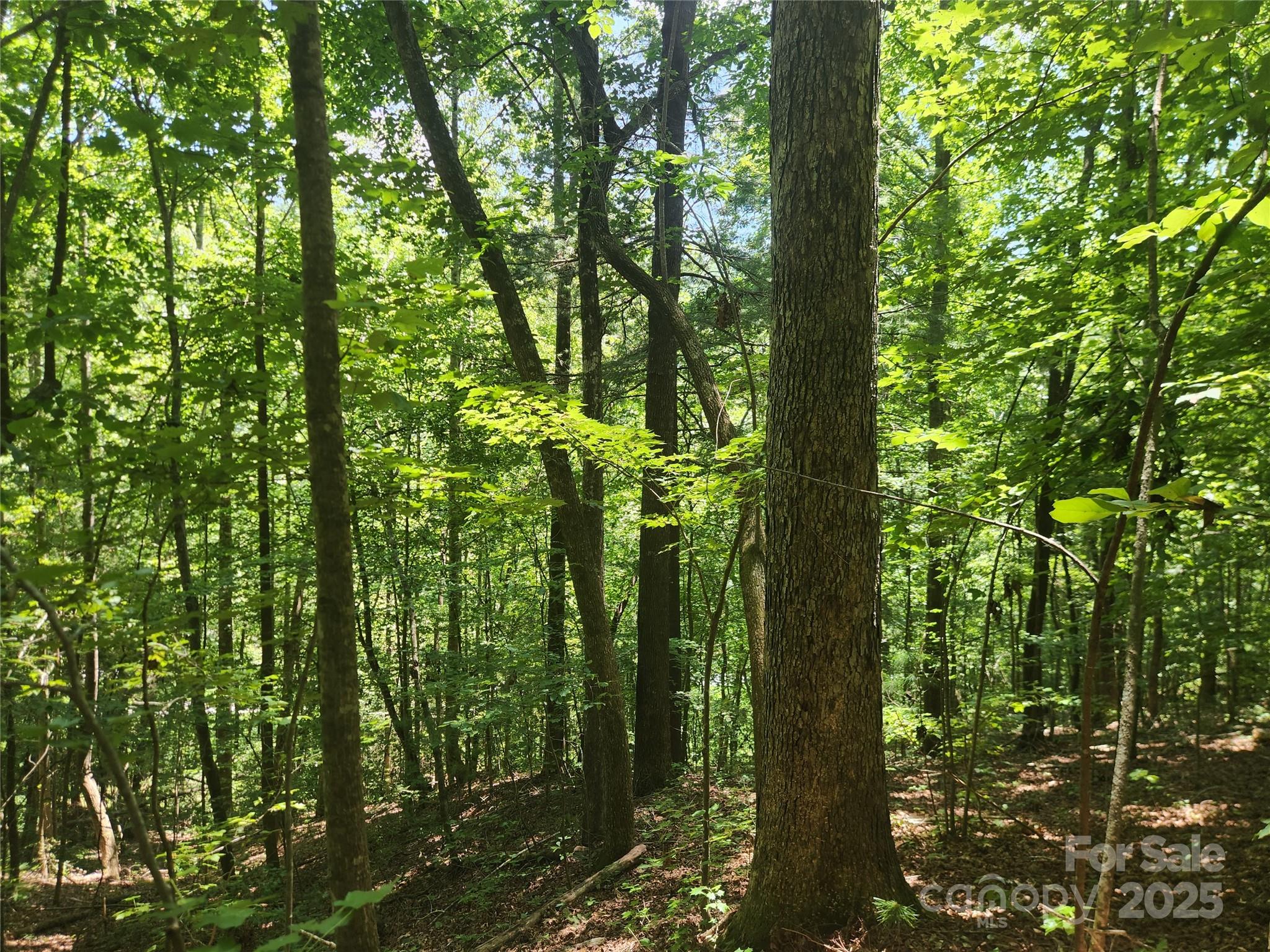 2003 Zacks Fork Road Lenoir NC 28645