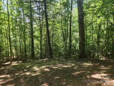 2003 Zacks Fork Road Lenoir NC 28645