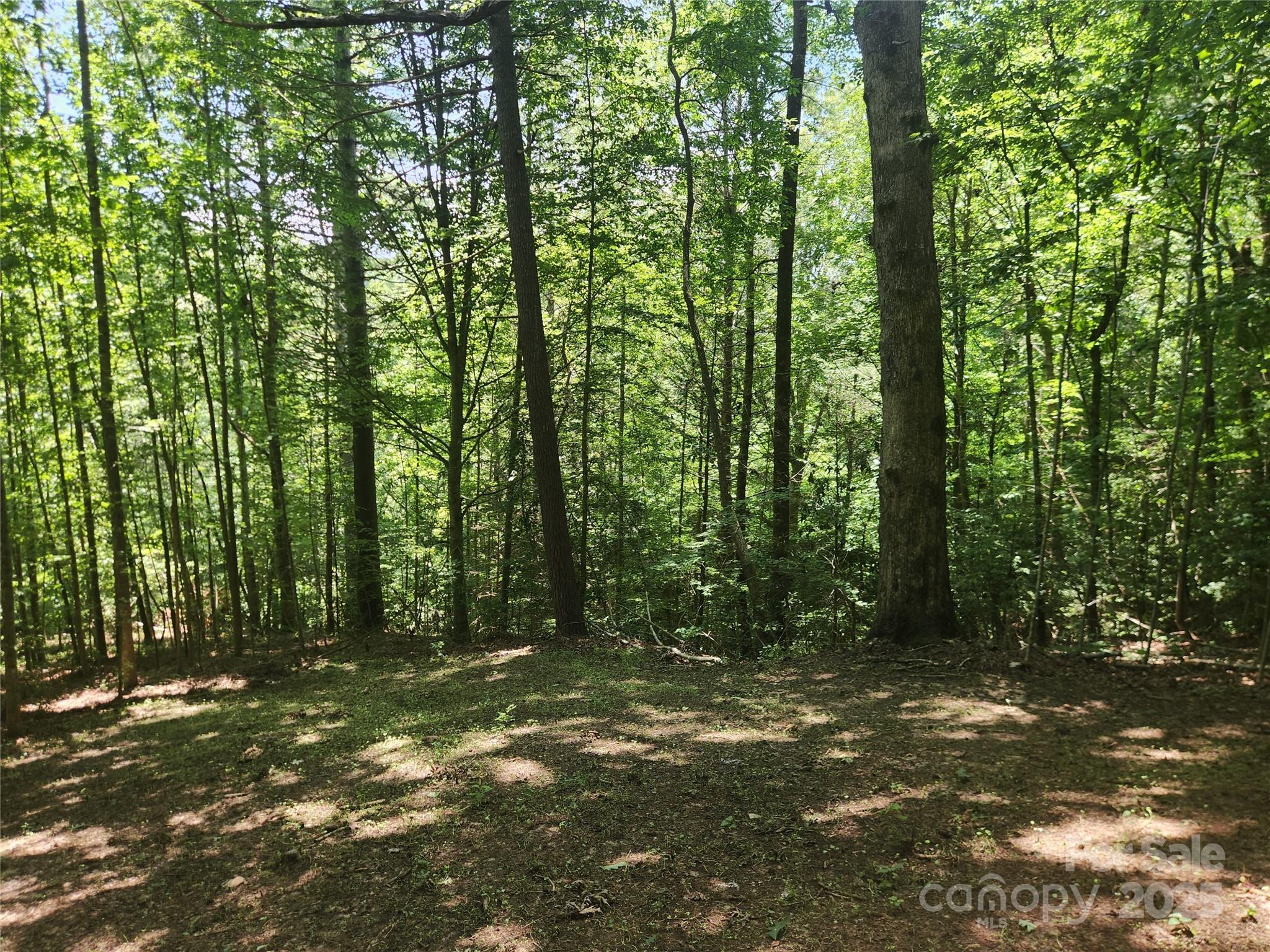 2003 Zacks Fork Road Lenoir NC 28645