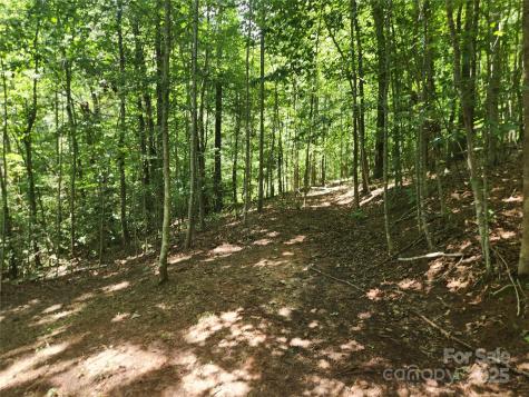 2003 Zacks Fork Road Lenoir NC 28645