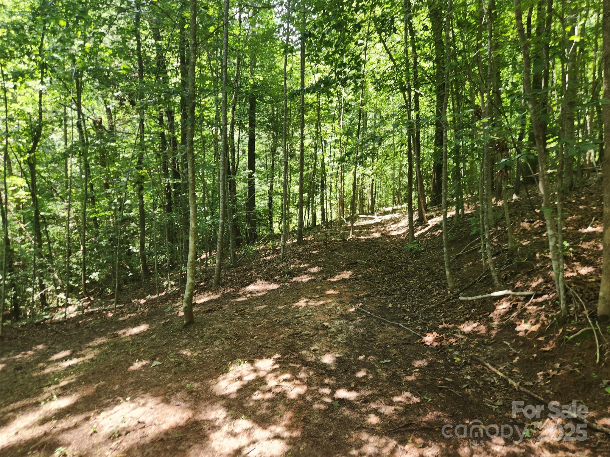 2003 Zacks Fork Road Lenoir NC 28645