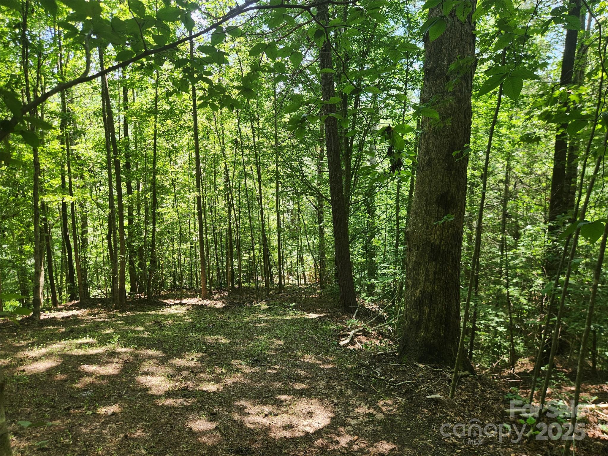 2003 Zacks Fork Road Lenoir NC 28645