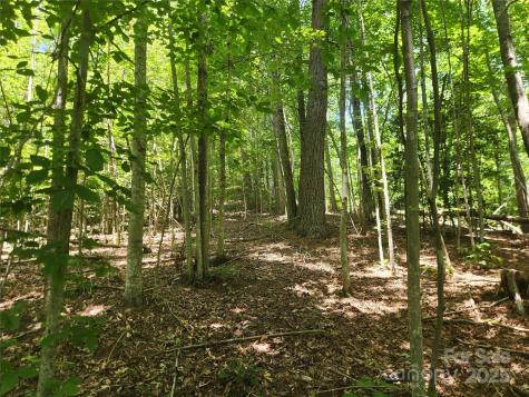 2003 Zacks Fork Road Lenoir NC 28645