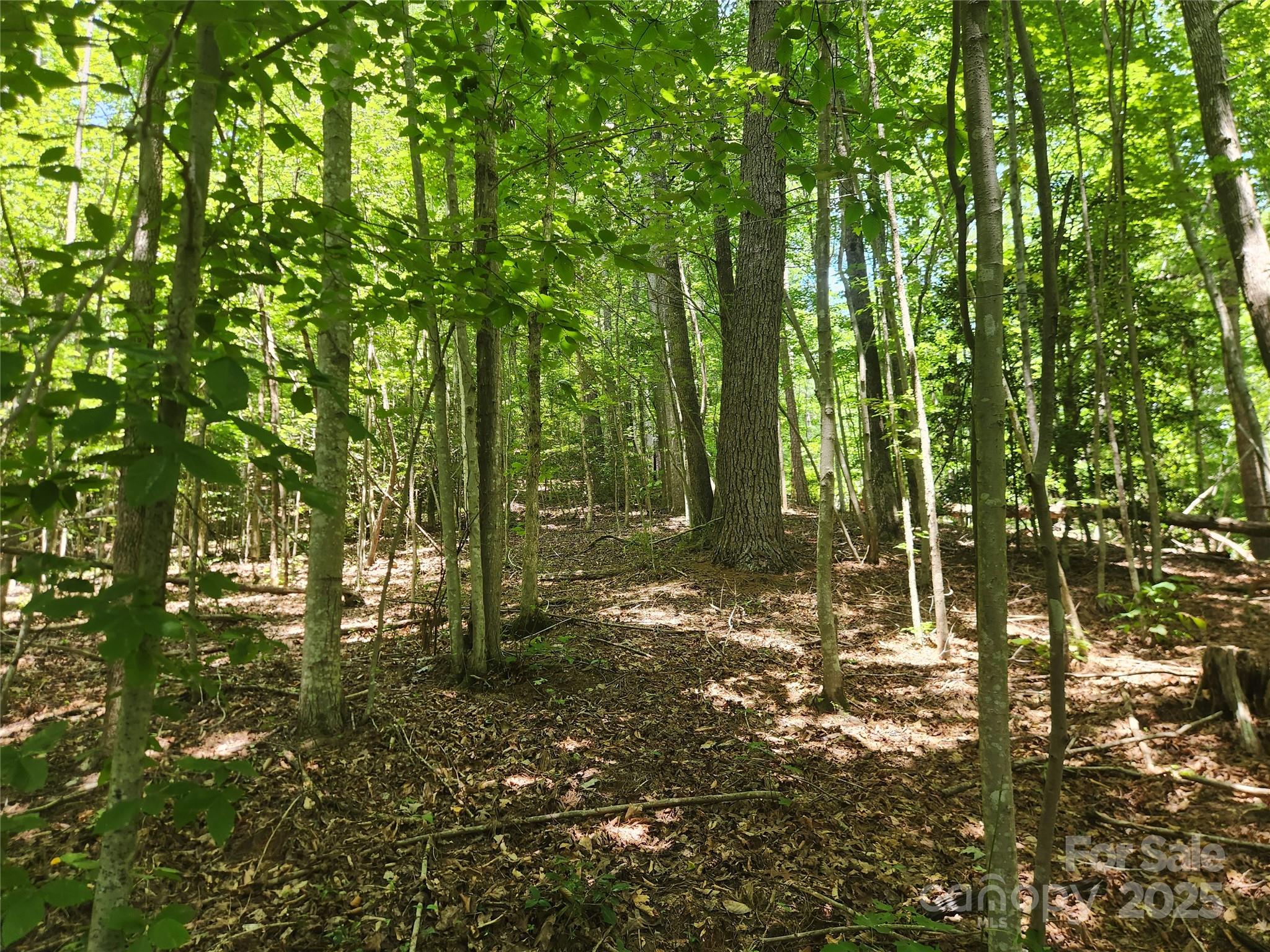 2003 Zacks Fork Road Lenoir NC 28645