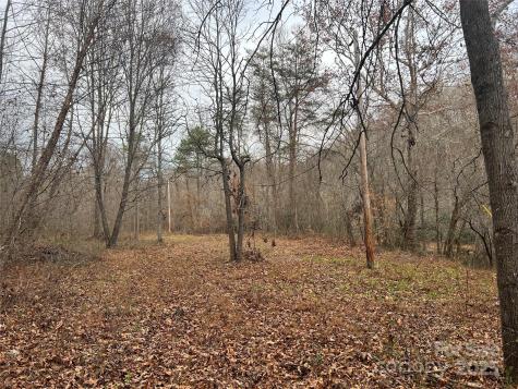 0 Rooley Lane Dobson NC 27017