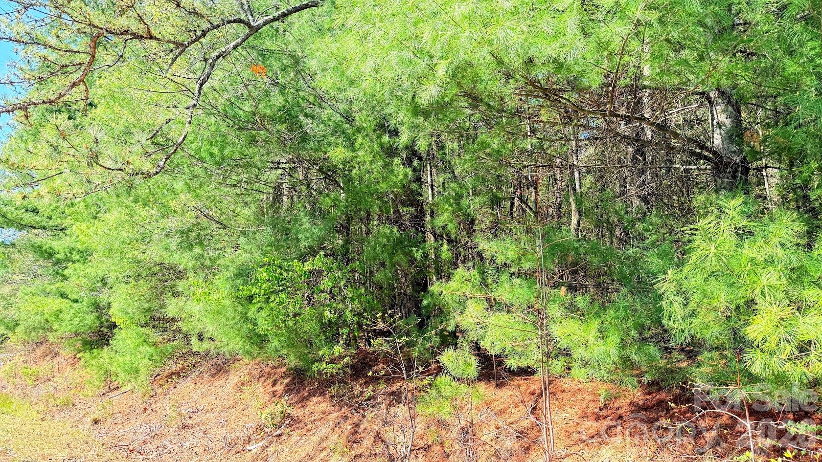 000 Jeter Mountain Road Hendersonville NC 28739