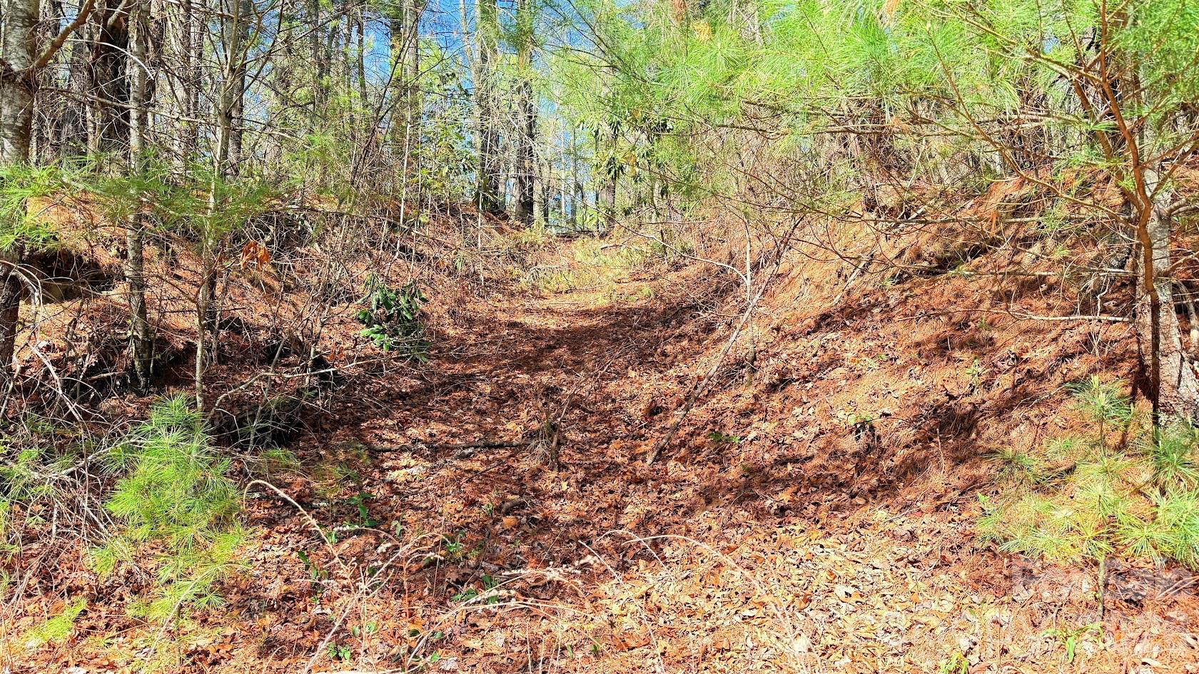 000 Jeter Mountain Road Hendersonville NC 28739
