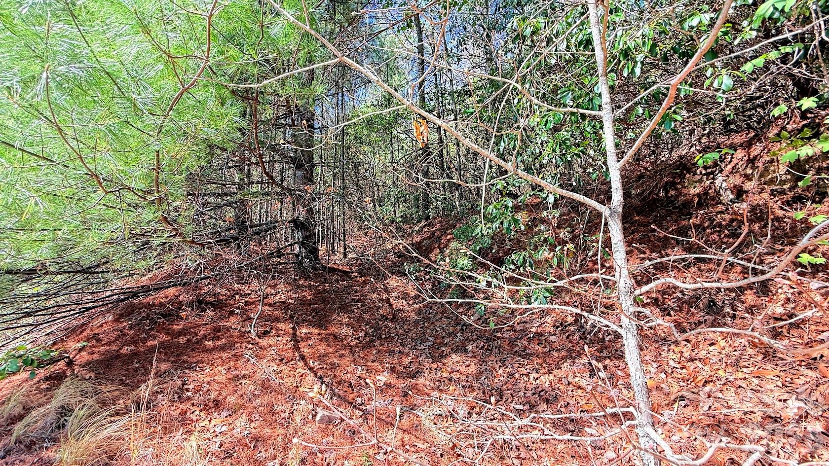 000 Jeter Mountain Road Hendersonville NC 28739