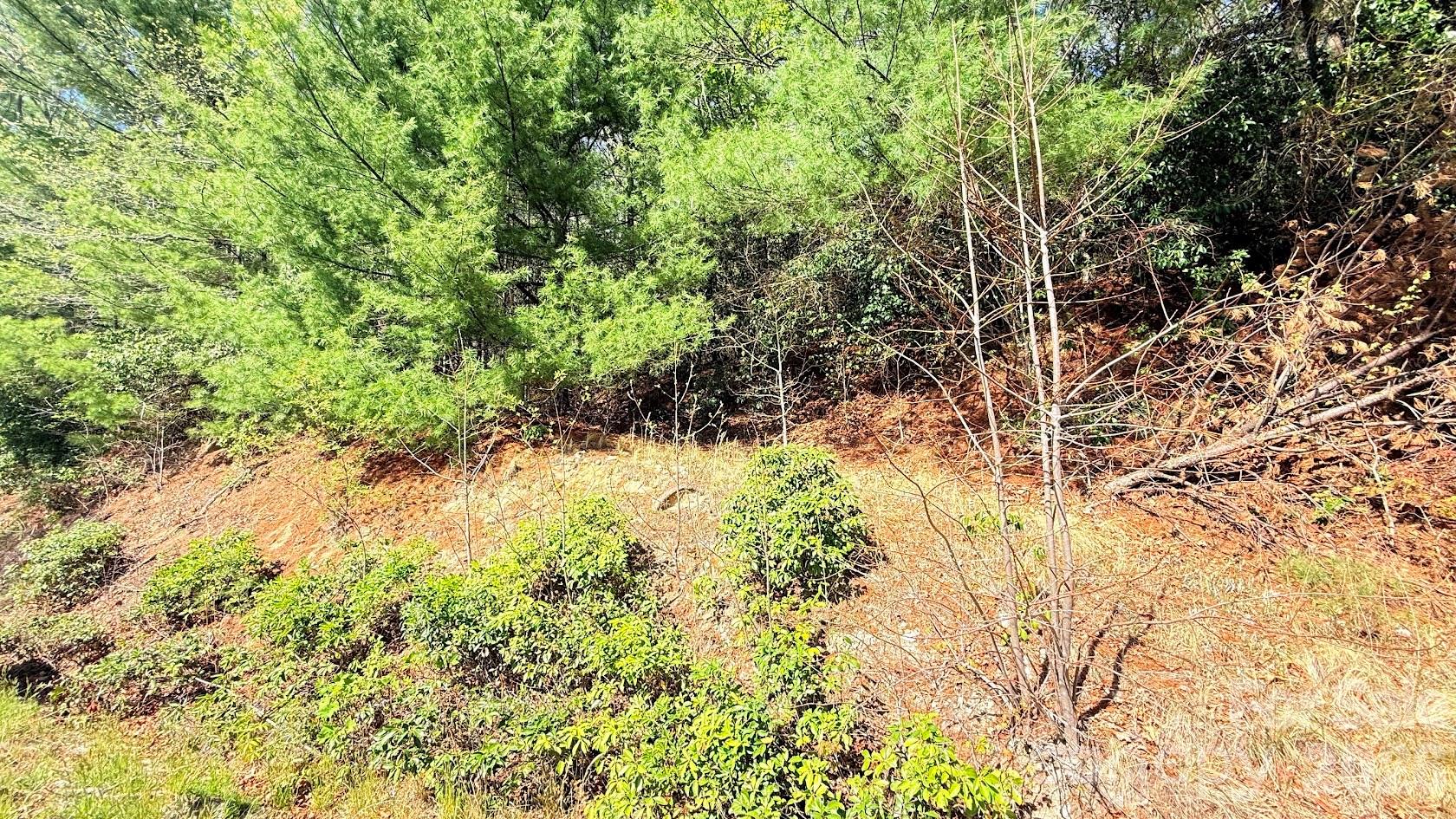 000 Jeter Mountain Road Hendersonville NC 28739