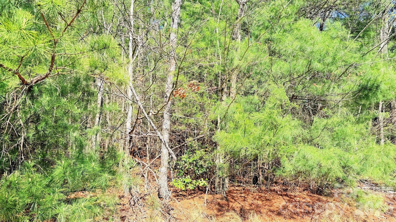 000 Jeter Mountain Road Hendersonville NC 28739