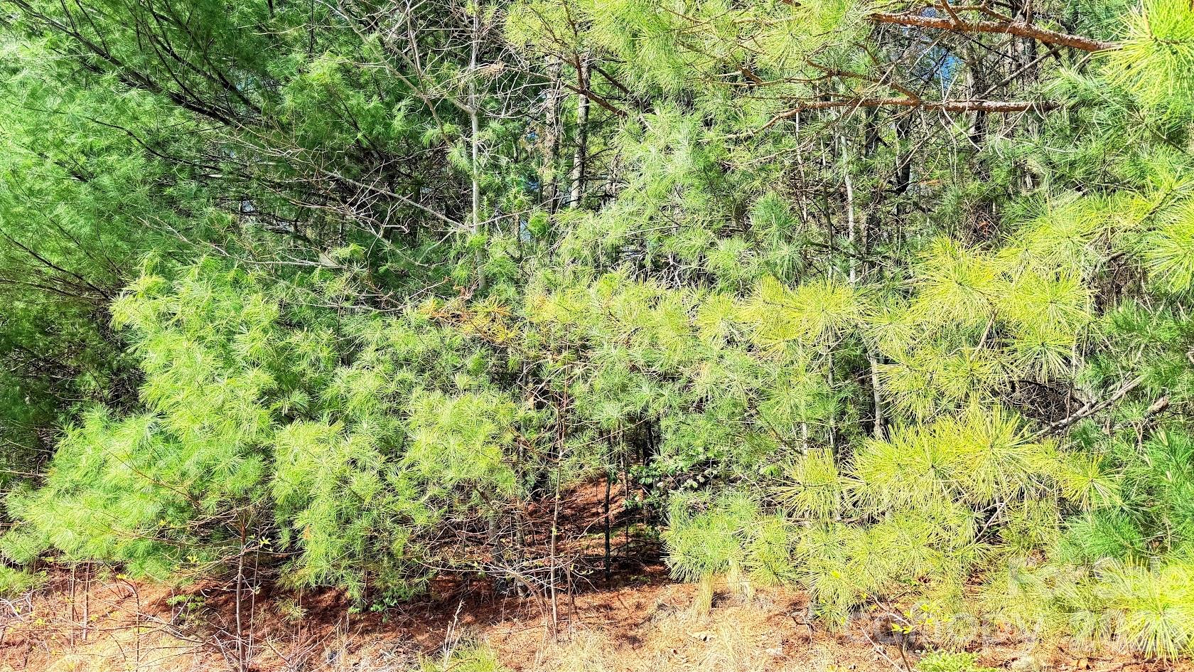 000 Jeter Mountain Road Hendersonville NC 28739