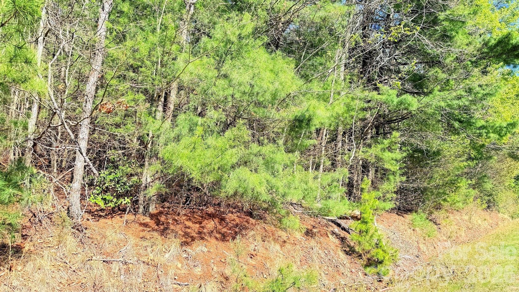 000 Jeter Mountain Road Hendersonville NC 28739