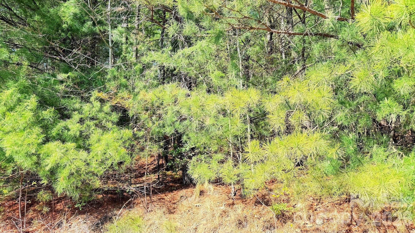 000 Jeter Mountain Road Hendersonville NC 28739