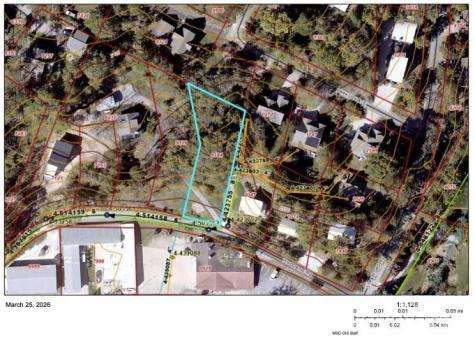 9 Woodbine Road Asheville NC 28804