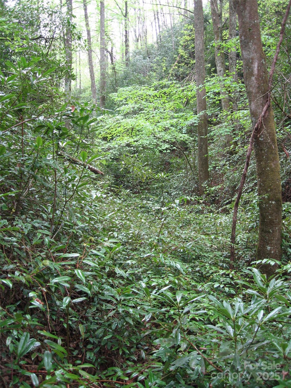 313 Line Runner Ridge Road Rosman NC 28772