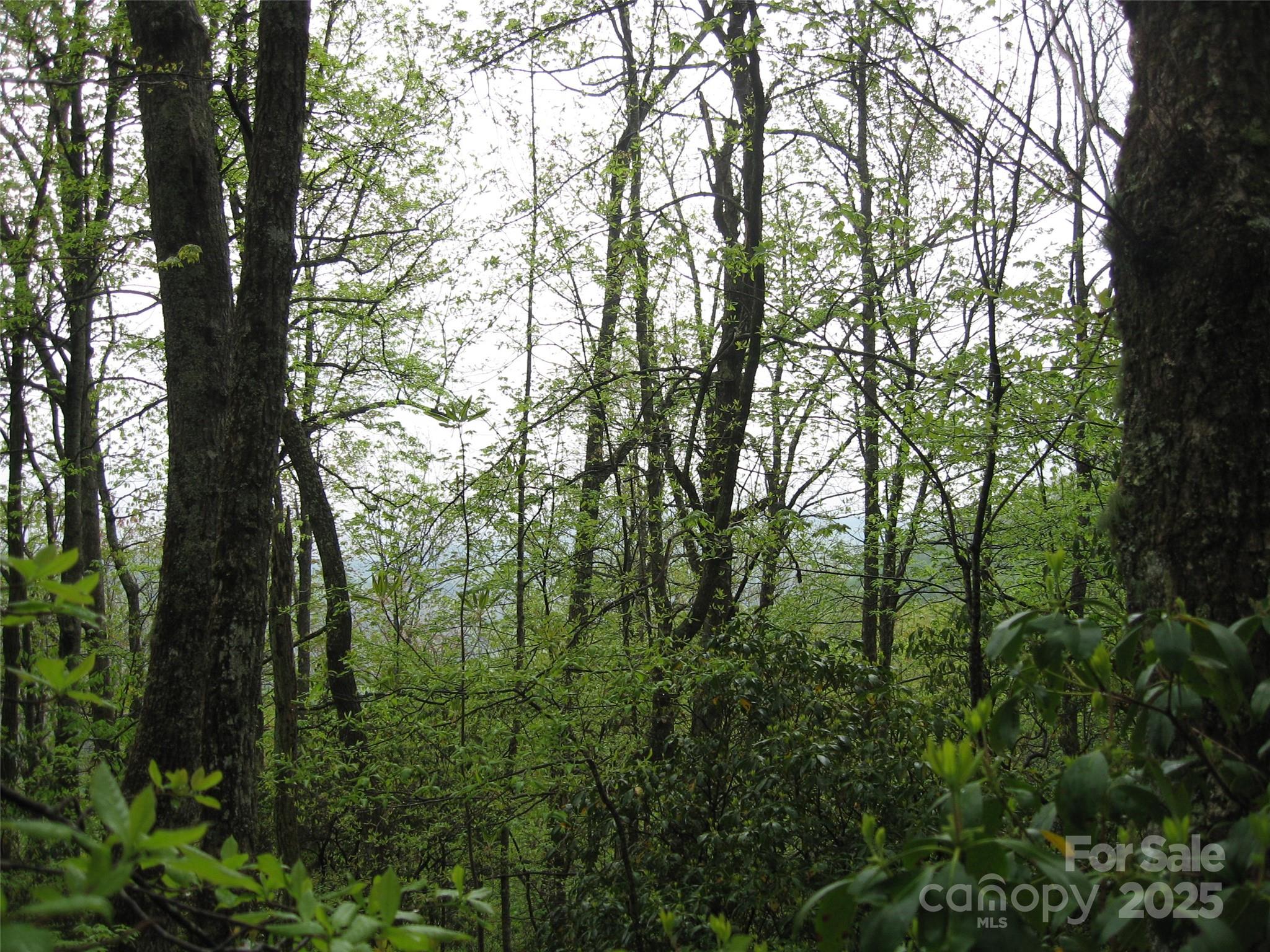 313 Line Runner Ridge Road Rosman NC 28772
