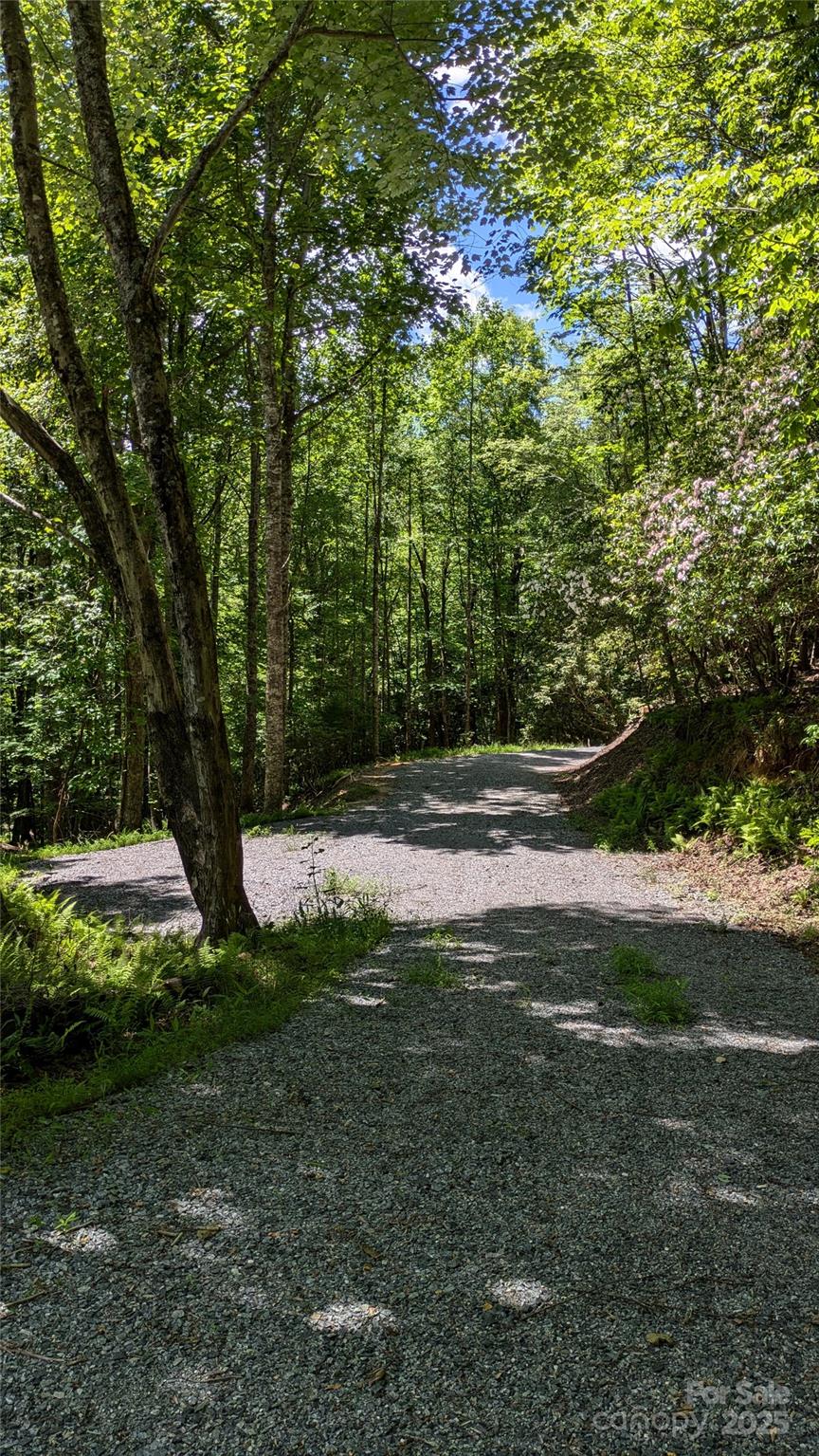 313 Line Runner Ridge Road Rosman NC 28772