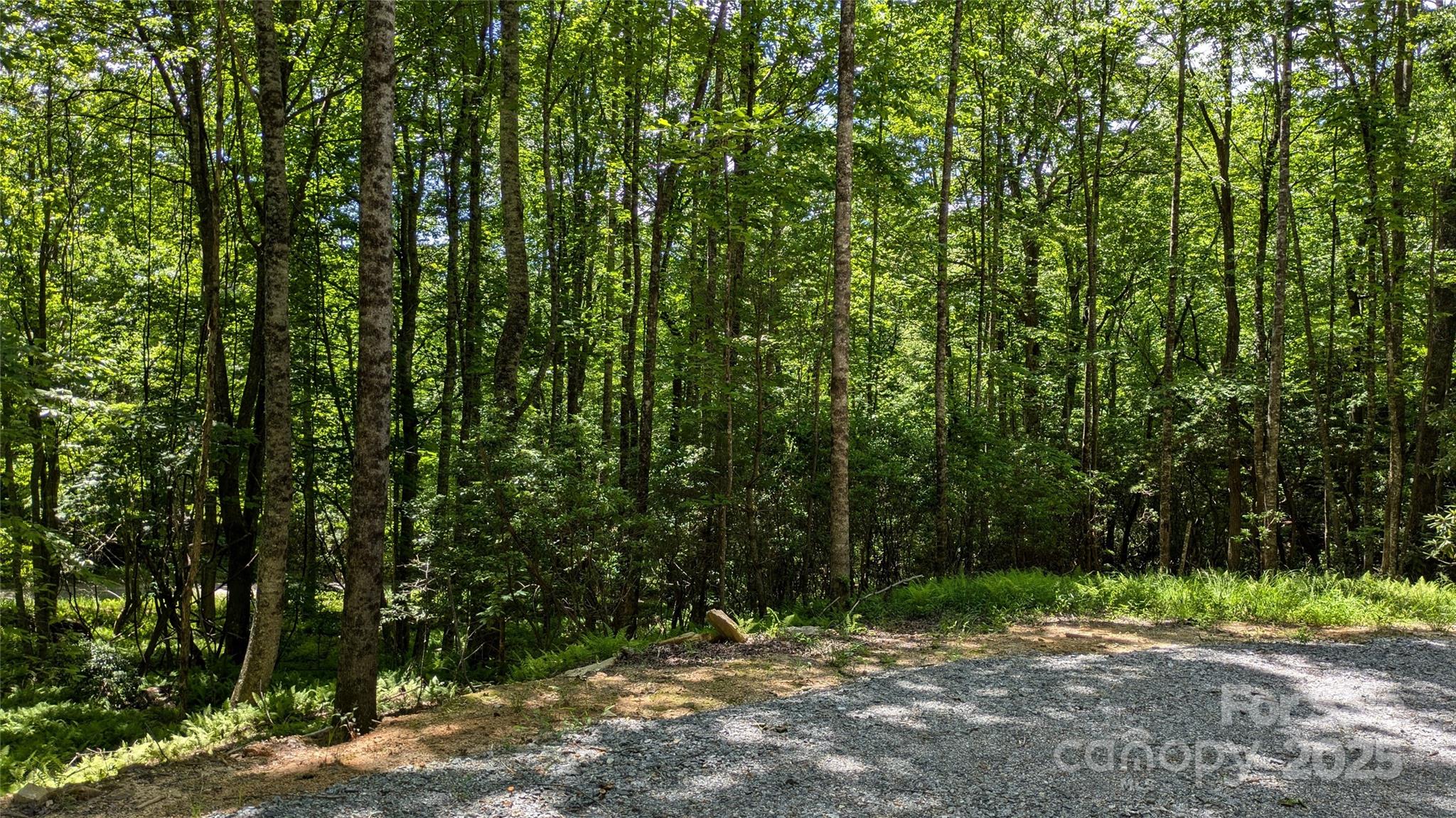 313 Line Runner Ridge Road Rosman NC 28772