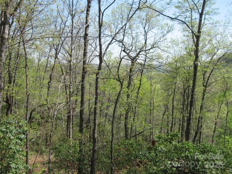 313 Line Runner Ridge Road Rosman NC 28772