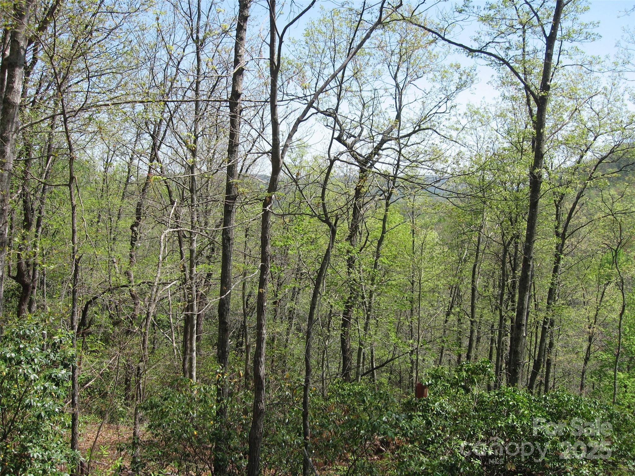313 Line Runner Ridge Road Rosman NC 28772