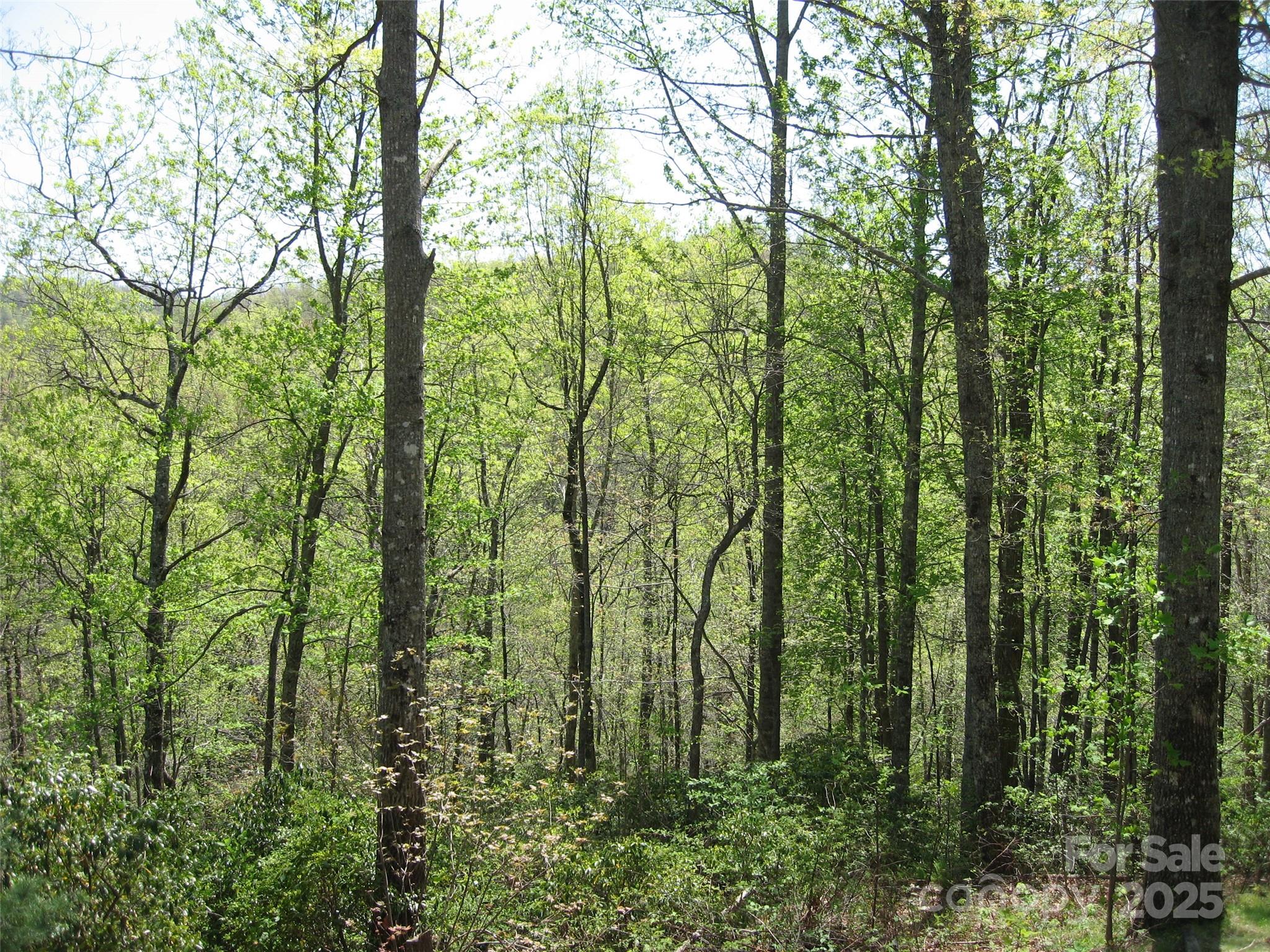 313 Line Runner Ridge Road Rosman NC 28772