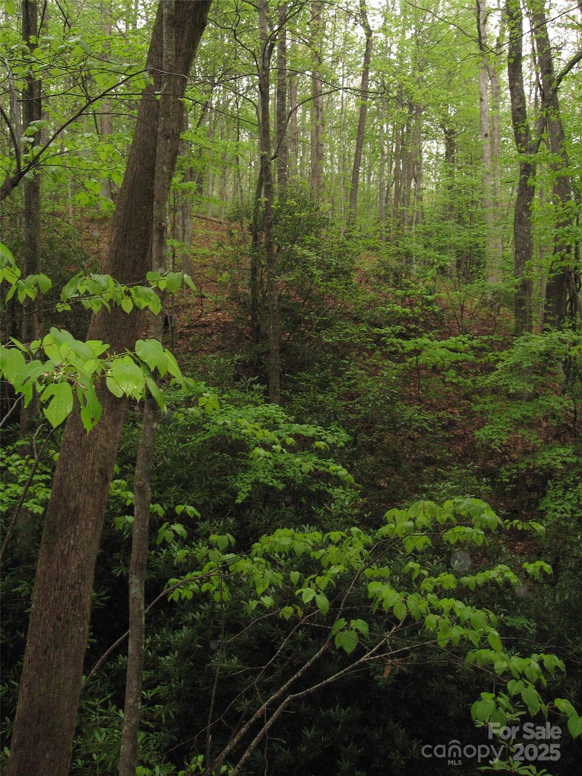 313 Line Runner Ridge Road Rosman NC 28772