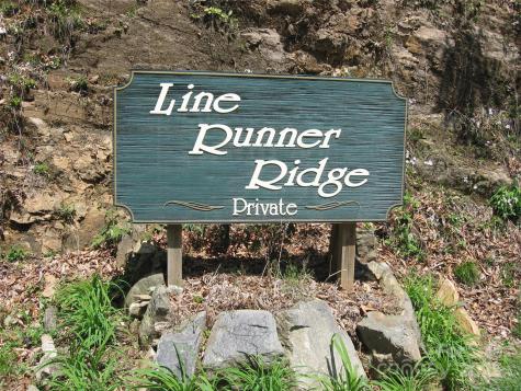 313 Line Runner Ridge Road Rosman NC 28772