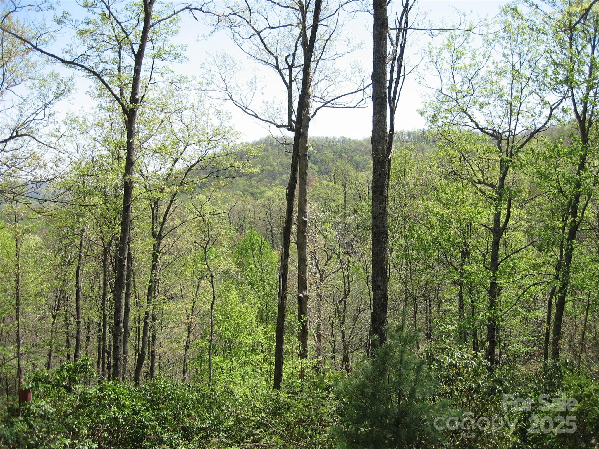 313 Line Runner Ridge Road Rosman NC 28772