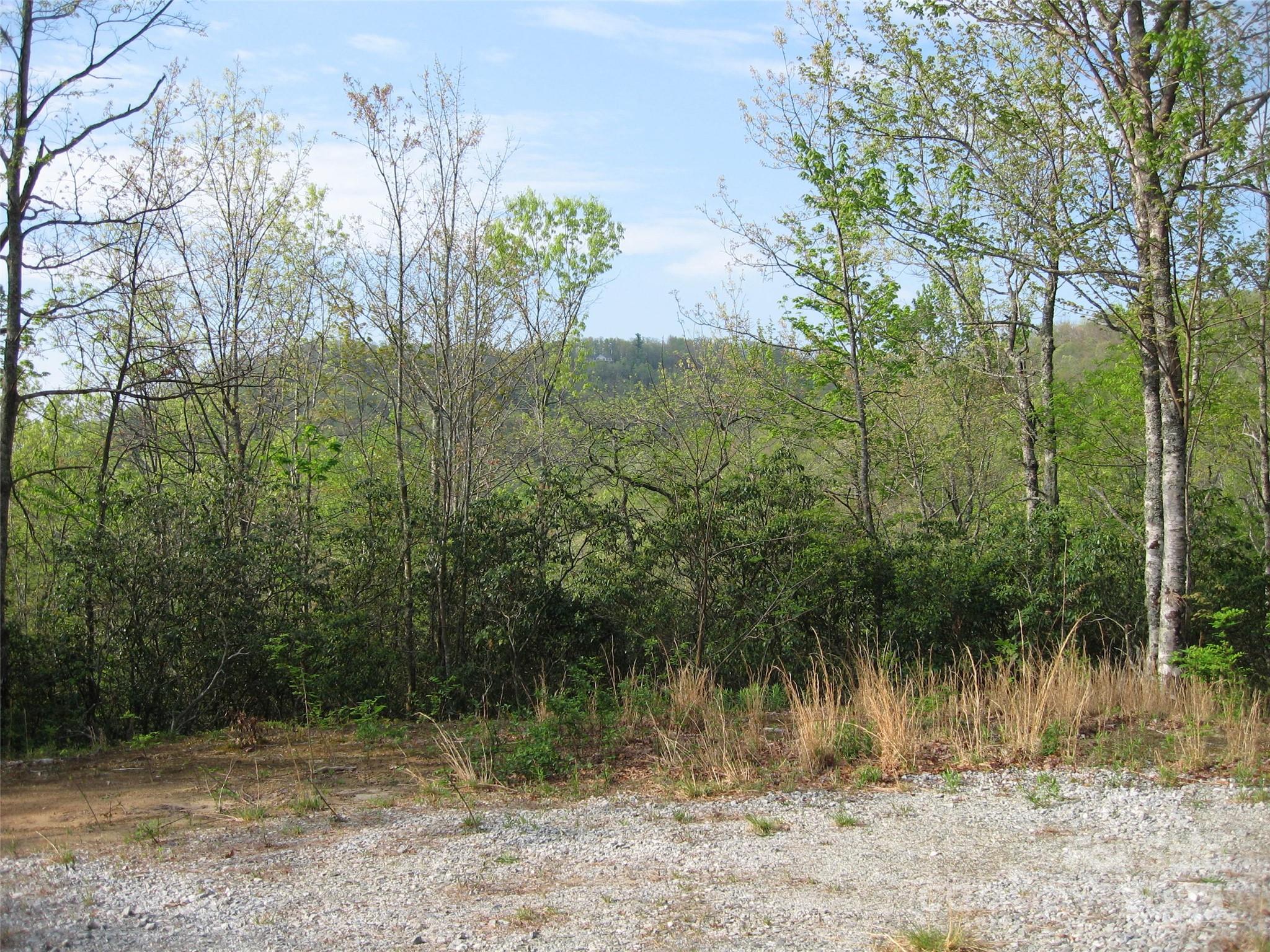313 Line Runner Ridge Road Rosman NC 28772