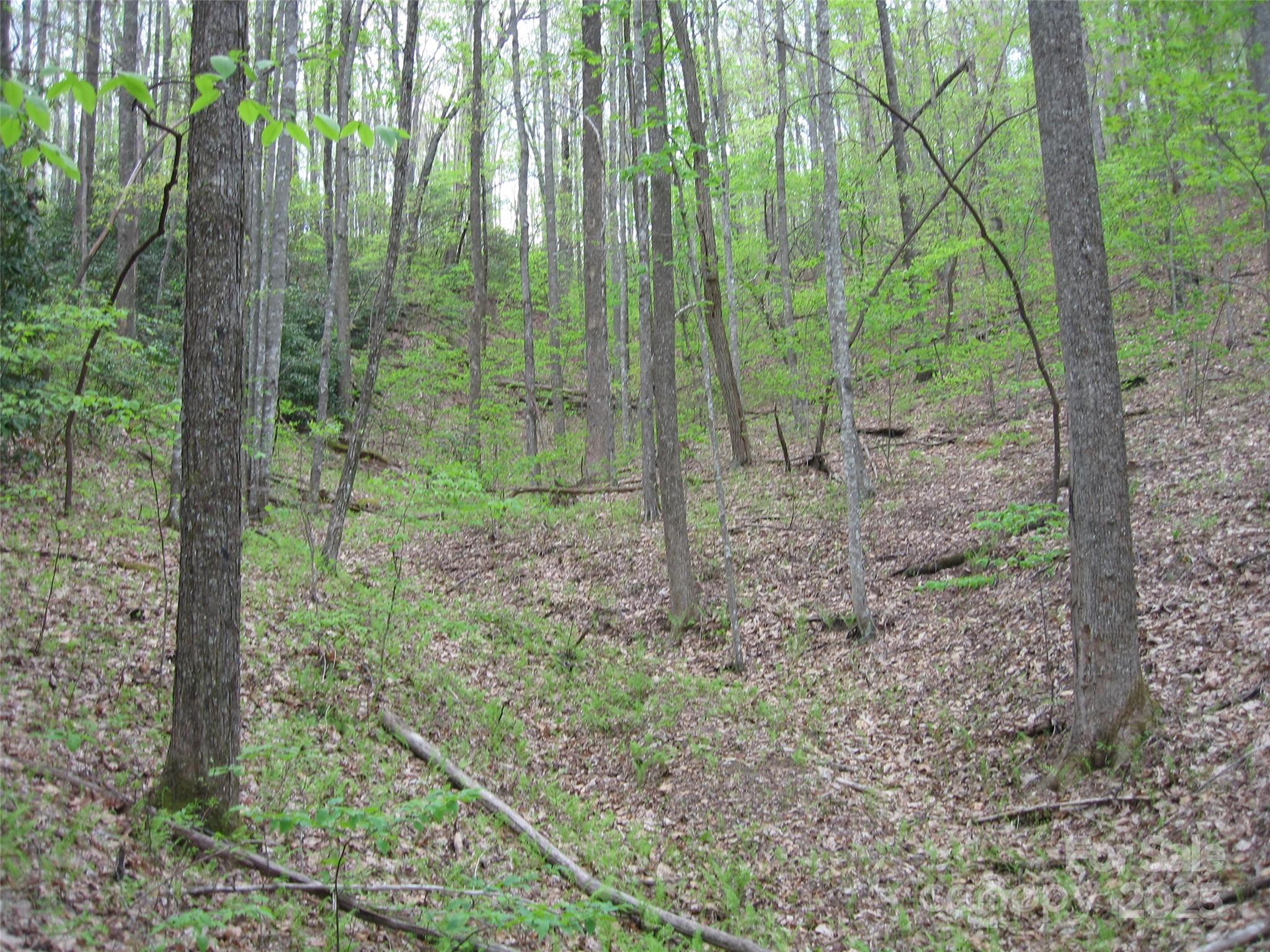 313 Line Runner Ridge Road Rosman NC 28772