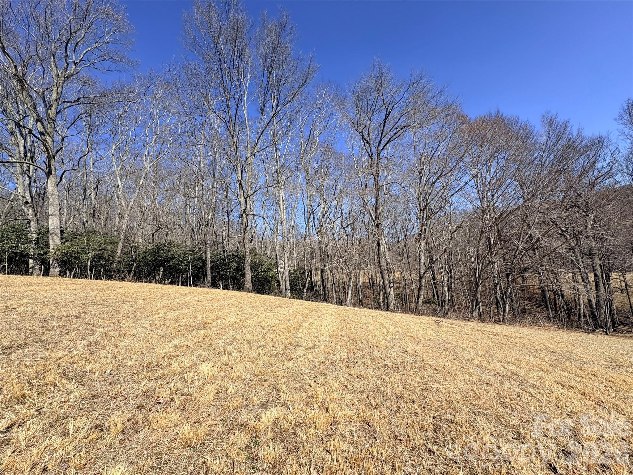 Lot 1 Elk Creek Mountain Parkway Todd NC 28684