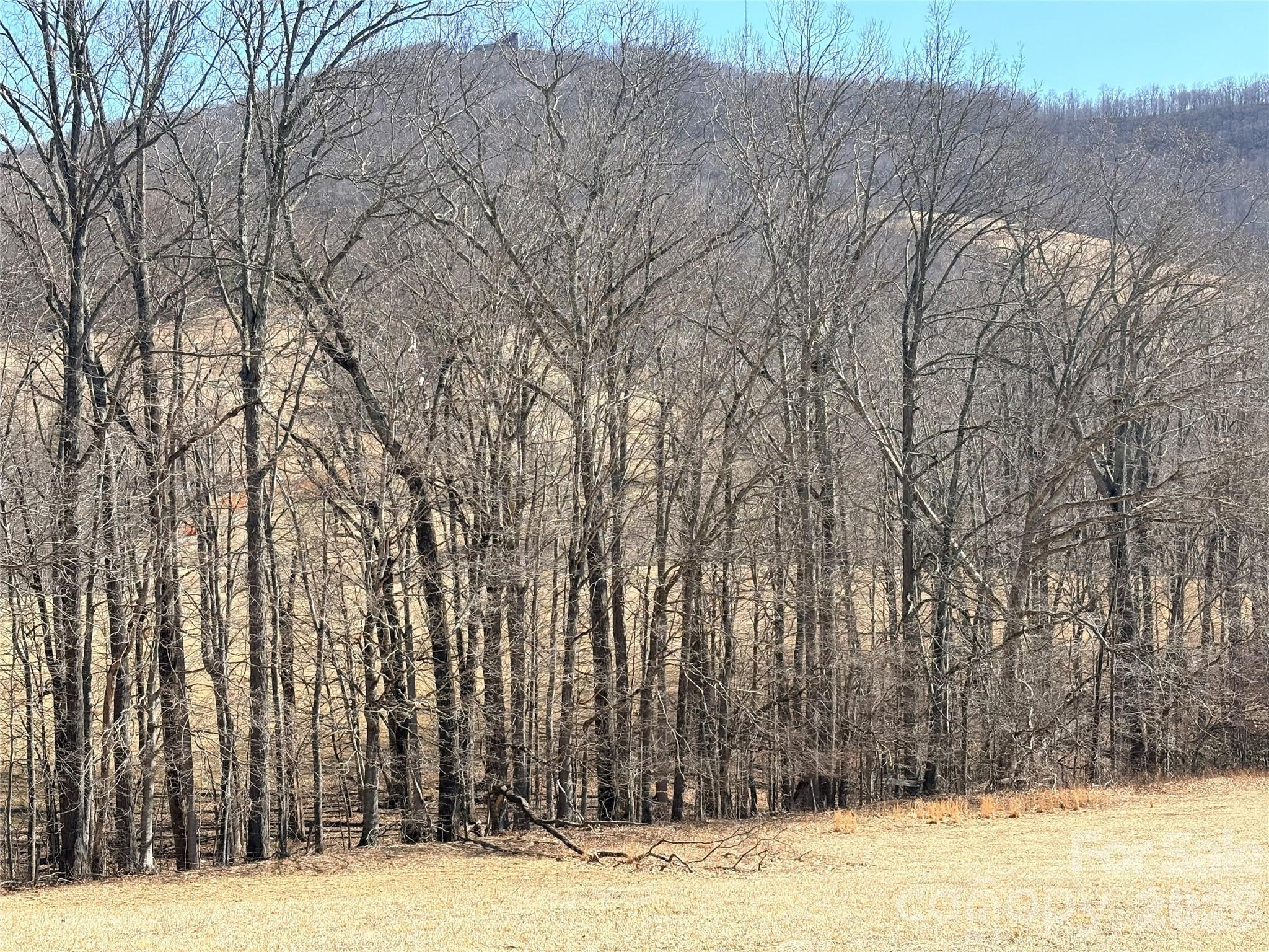 Lot 1 Elk Creek Mountain Parkway Todd NC 28684
